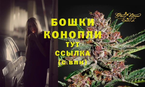 индика Бронницы