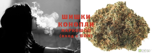 прущие крисы Бородино