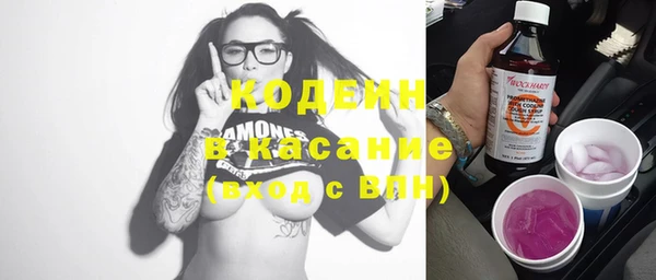 индика Бронницы