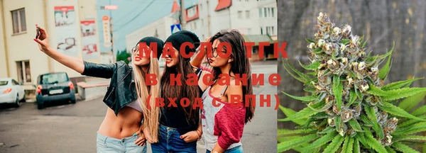 индика Бронницы