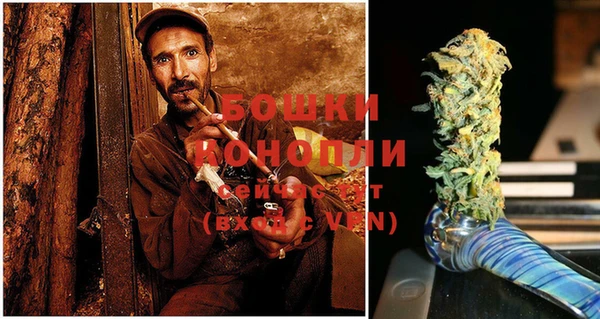 прущие крисы Бородино